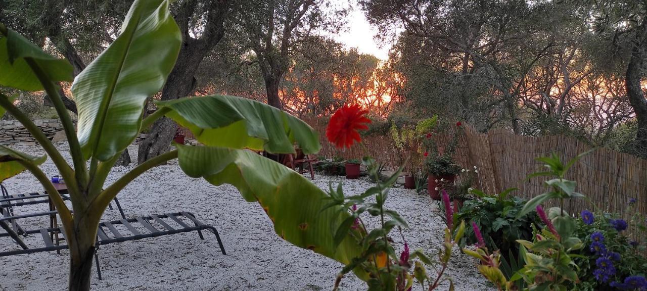 Villa Olive Garden, Kastanida - Paxoi Gaios Exteriér fotografie