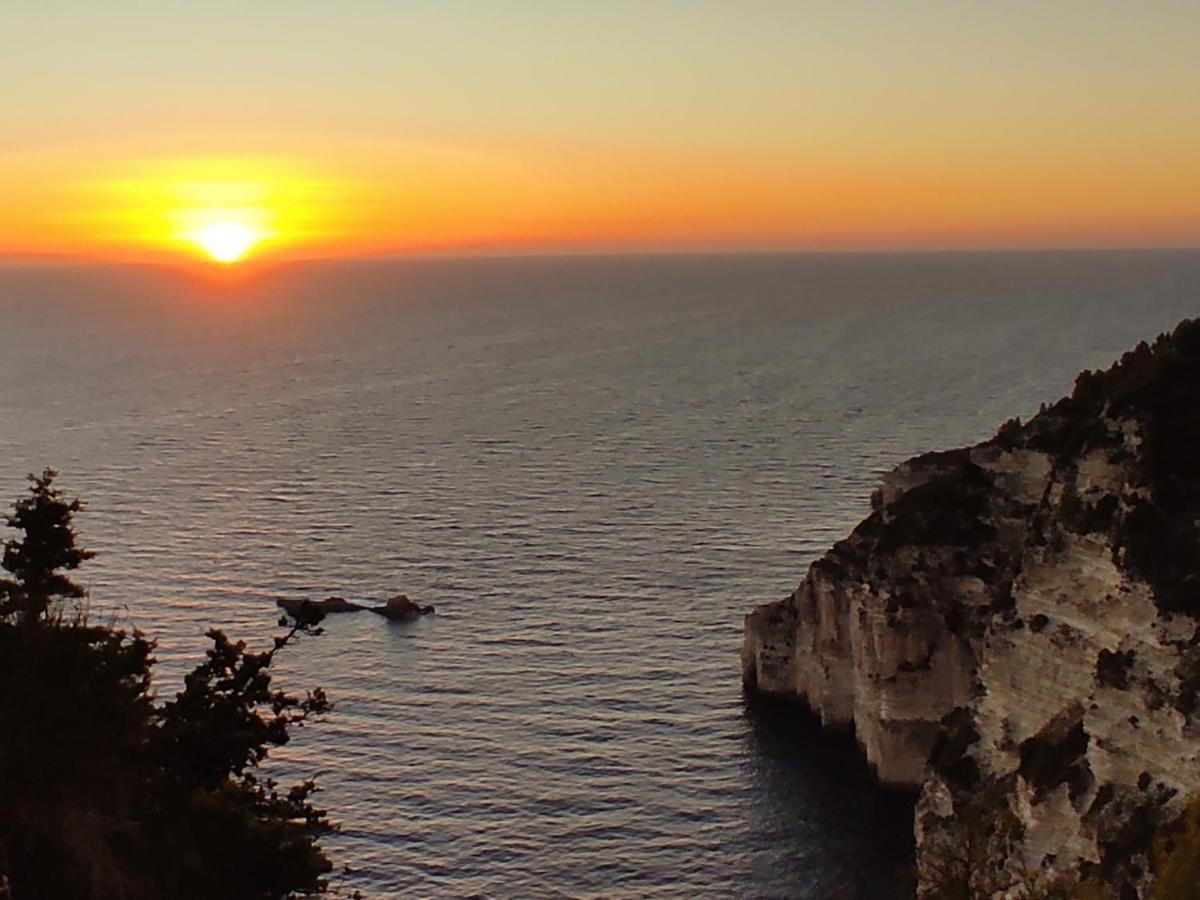 Villa Olive Garden, Kastanida - Paxoi Gaios Exteriér fotografie