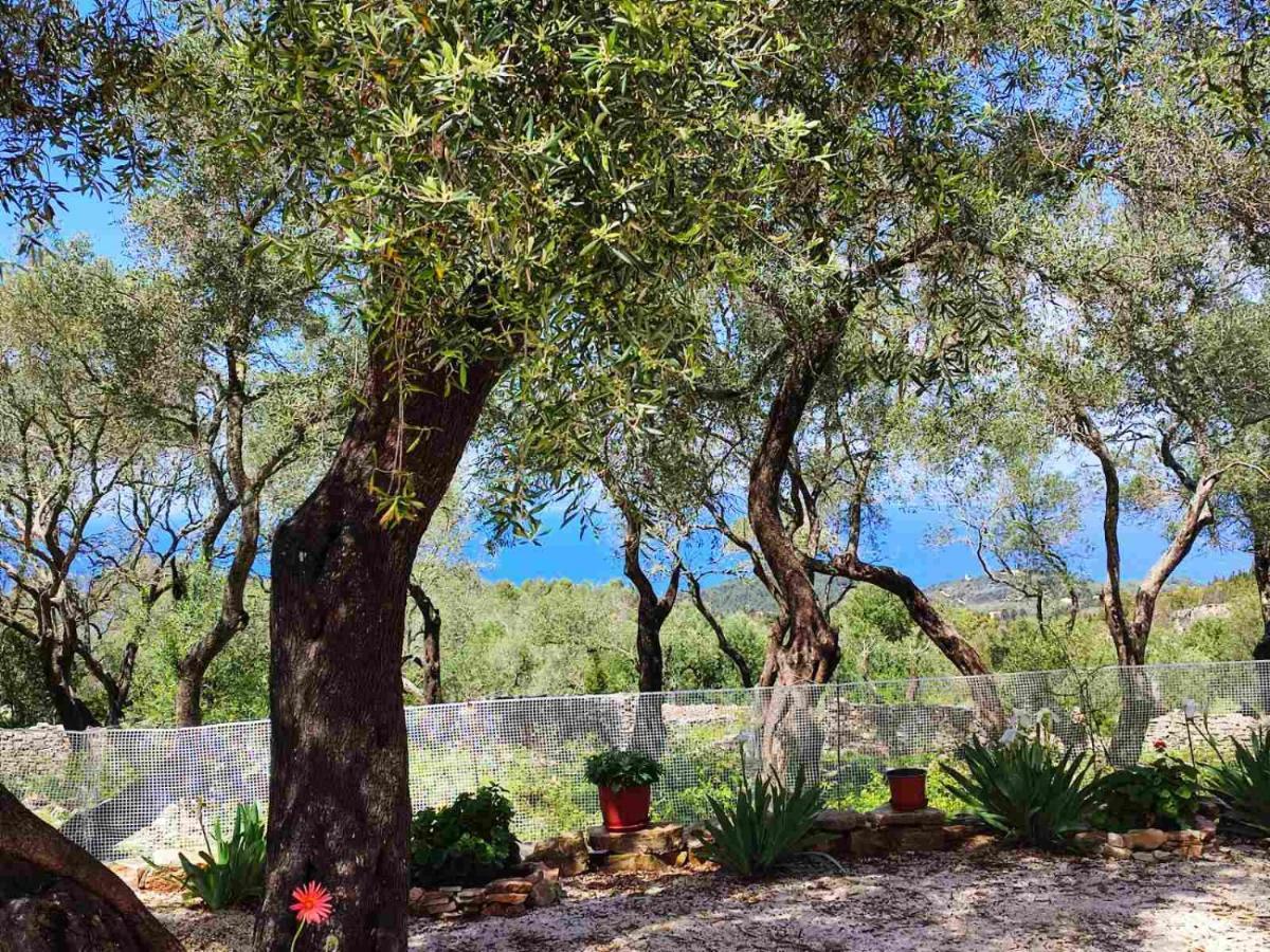 Villa Olive Garden, Kastanida - Paxoi Gaios Exteriér fotografie