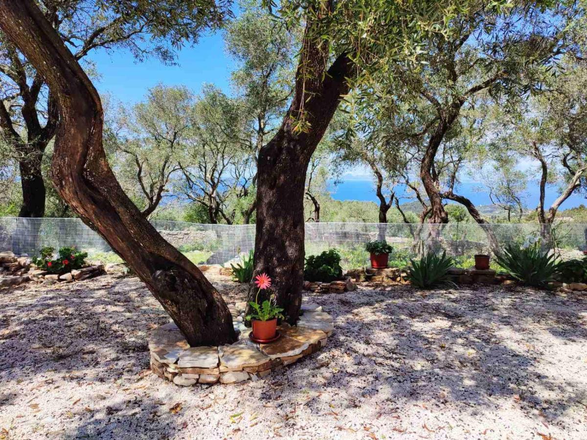 Villa Olive Garden, Kastanida - Paxoi Gaios Exteriér fotografie