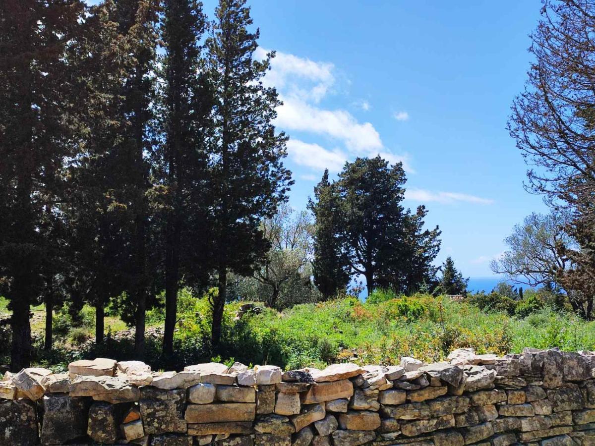 Villa Olive Garden, Kastanida - Paxoi Gaios Exteriér fotografie